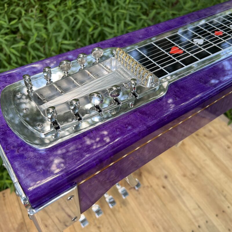 Pro VI Pedal Steel Guitar